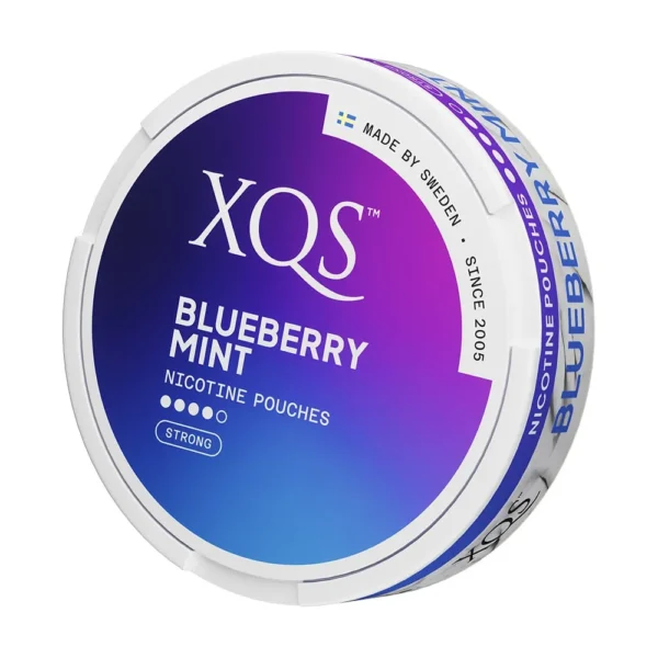 XQS Blueberry Mint